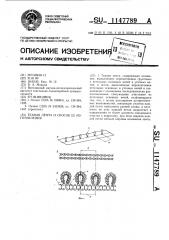Тканая лента и способ ее изготовления (патент 1147789)