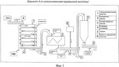 Способ получения белкового корма (варианты) (патент 2360431)