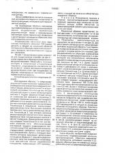 Способ неразрушающего контроля пространственной структуры неоднородных материалов (патент 1689821)