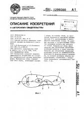 Медицинская обувь (патент 1299560)