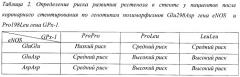 Способ прогнозирования развития рестеноза после стентирования коронарных артерий стентами без лекарственного покрытия (патент 2395091)