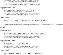 Набор олигодезоксирибонуклеотидных праймеров и флуоресцентно меченых зондов для идентификации рнк коронавирусов видов 229е, nl63, ос43, hku1 методом гибридизационно-флуоресцентной обратно-транскриптазной полимеразной цепной реакции (патент 2473702)
