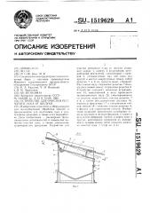 Устройство для очистки репчатого лука от шелухи (патент 1519629)