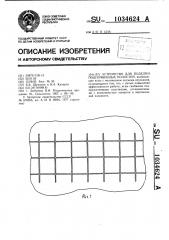 Устройство для поделки подпочвенных полостей (патент 1034624)