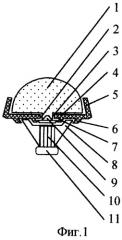 Тюбик-щётка (патент 2255708)