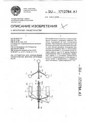 Устройство для определения характеристик морских ветровых волн (патент 1712784)