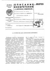 Устройство для закрепления кон-тейнера (патент 852723)