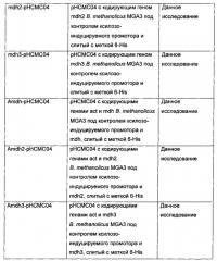 Новые ферменты метанолдегидрогеназы из bacillus (патент 2624017)