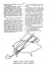 Устройство ультразвуковой диагностики животных (патент 869757)