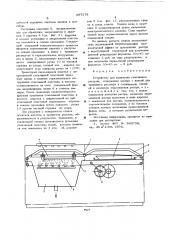 Устройство для травления стеклянных растров (патент 597578)