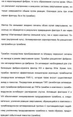 Замещенные (оксазолидинон-5-ил-метил)-2-тиофен-карбоксамиды и их применение в сфере свертывания крови (патент 2481344)