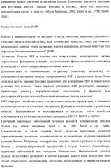 Производные 2-амино-4-фенилхиназолина и их применение в качестве hsp90 модуляторов (патент 2421449)