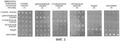 Способ количественного обнаружения биологических токсинов (патент 2320994)