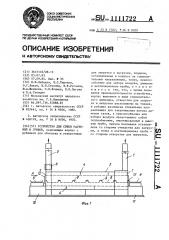 Устройство для сушки растений и грибов (патент 1111722)