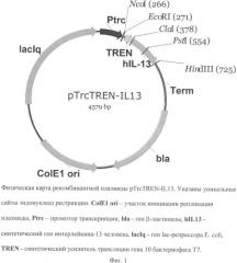 Рекомбинантная плазмидная днк ptrctren-il-13, кодирующая полипептид со свойствами интерлейкина-13 человека, и штамм бактерий escherichia coli bl21(дез)/ptrctren-il13-продуцент полипептида со свойствами интерлейкина-13 человека (патент 2333960)