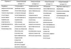 Рекомбинантные аттенуированные микроорганизмы clostridium и вакцина (патент 2445364)