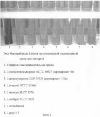 Комплексная индикаторная среда для дифференциации бактерий рода listeria (патент 2303060)