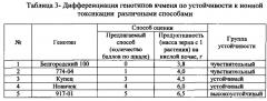 Морфотопографический способ оценки устойчивости сельскохозяйственных растений к ионной токсикации алюминием (патент 2608654)