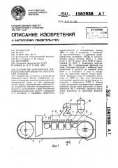 Устройство для очистки технологической щепы из лесосечных отходов (патент 1562036)