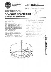 Устройство для исследования факелов распыла жидкости (патент 1125494)