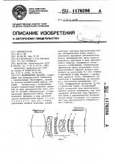 Анаморфотная насадка (патент 1176286)