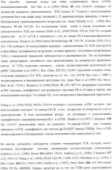 Экспонирование т-клеточных рецепторов (патент 2346004)