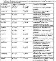 Штамм гриба phoma ligulicola var.inoxydabilis boerema, обладающий микогербицидной активностью против полыни обыкновенной (патент 2588470)