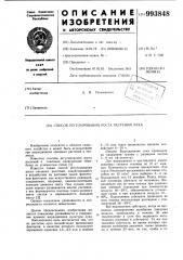 Способ регулирования роста растений лука (патент 993848)