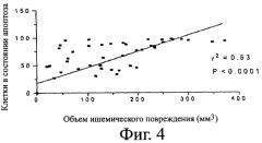 Композиция для лечения, замедления или предотвращения у животного слабоумия, старения мозга, когнитивного нарушения, инсульта или болезни альцгеймера и ее применение (варианты) (патент 2400102)