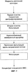 Способ очистки, предназначенный для получения очищенного вируса везикулярного стоматита из клеточной культуры (патент 2484135)