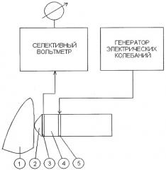 Способ определения степени тяжести пародонтита (патент 2286712)