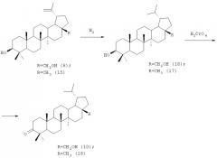 N'-{n-[3-оксо-лупан-28-оил]-9-аминононаноил}-3-амино-3-фенил-пропионовая кислота и ее соли как противовирусные и иммуностимулирующие агенты (патент 2317996)