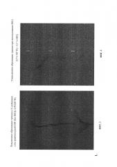 Нанокристаллическая целлюлоза (нкц) в ленточных шовных композициях (шк) (патент 2627057)