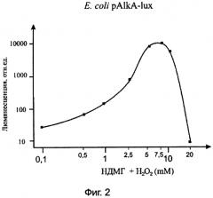 Набор lux-биосенсоров для определения генотоксичных продуктов неполного окисления несимметричного диметилгидразина в среде (патент 2569156)