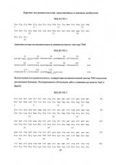 Штамм е. coli bl21(de3)/ptev-tms - продуцент гибридного белка trxtevrs-tms, предназначенного для протеолитического расщепления с образованием антиангиогенного пептида тумастина, производного фрагмента [l69k-95] тумстатина человека, и способ получения рекомбинантного антиангиогенного пептида (патент 2625008)