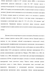 Растения с повышенной урожайностью и способ их получения (патент 2377306)