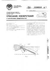 Причальное приспособление для плота (патент 1530554)