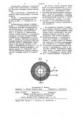 Каталитическая горелка (патент 1218252)