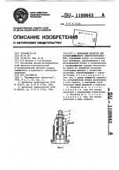 Проходной изолятор для взрывозащищенного электрооборудования (патент 1100643)