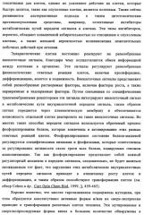 Производные 4-анилино-хиназолина, способ их получения (варианты), фармацевтическая композиция, способ ингибирования пролиферативного действия и способ лечения рака у теплокровного животного (патент 2345989)