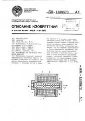 Устройство для магнитной обработки жидкости (патент 1388573)