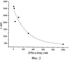 Средство для ингибирования фермента поли(адф-рибозо)полимеразы-1 человека (патент 2411948)