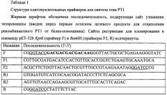 Пептидный модулятор пуринергических рецепторов (патент 2422459)