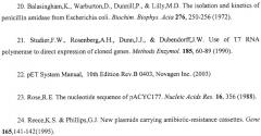 Рекомбинантная плазмида psvh0106, обеспечивающая синтез gl7aca-ацилазы в клетках escherichia coli, и рекомбинантный штамм escherichia coli bl21(de3)/psvh0106-продуцент gl7aca-ацилазы (патент 2300566)