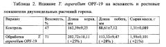 Штамм гриба trichoderma asperellum для получения биопрепарата комплексного действия для растениеводства (патент 2634415)