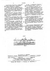 Сквозная берегозащитная шпора (патент 1020488)