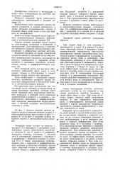 Запорный орган импульсного дождевателя (патент 1069713)