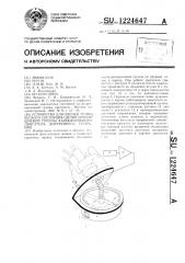 Устройство для оценки технического состояния цилиндропоршневой группы карбюраторного двигателя внутреннего сгорания (патент 1224647)