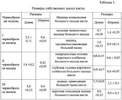 Способ восстановления противопоставления первого пальца при повреждении локтевого нерва (патент 2645966)