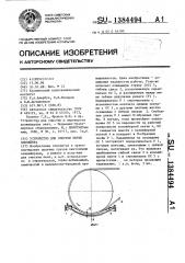 Устройство для очистки ленты конвейера (патент 1384494)